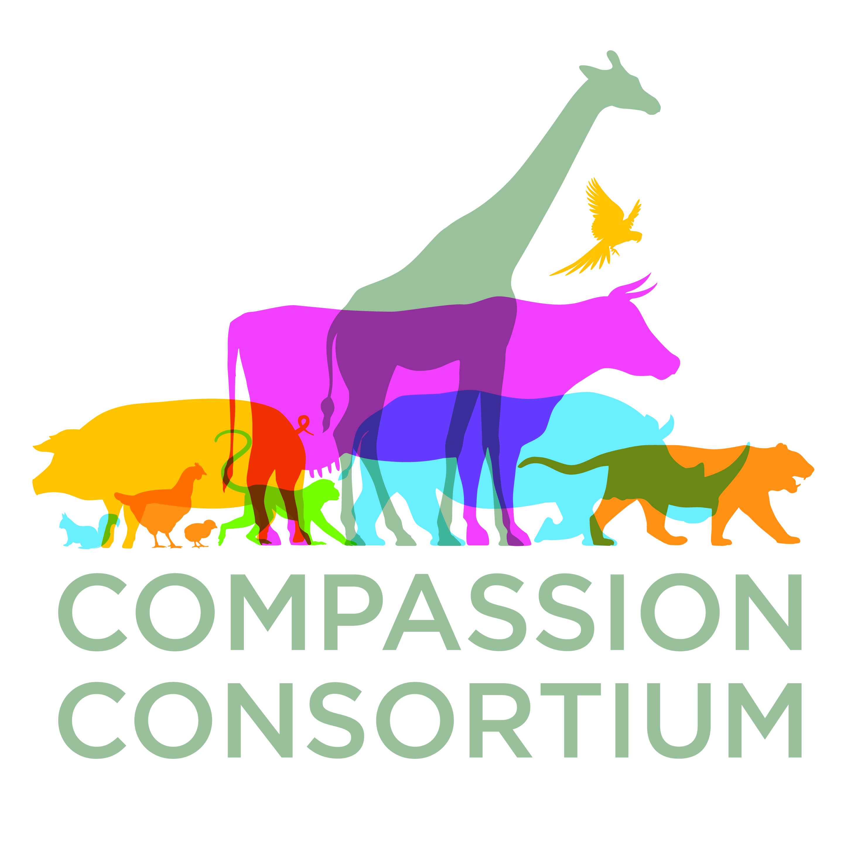 compassion consortium